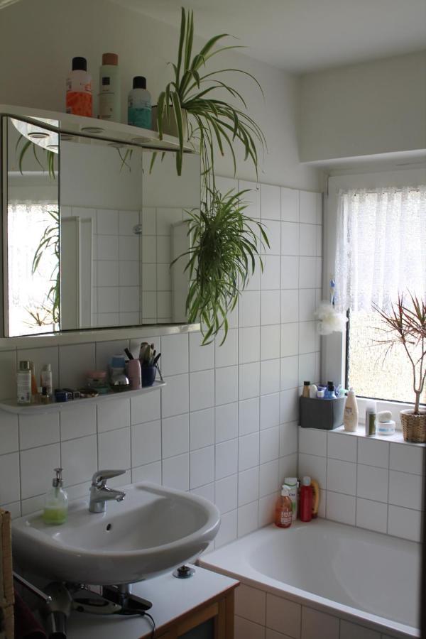 Bed & Breakfast Bonn 24 Mai Bis14 Juni Mit Hund In Der Wohnung Exteriér fotografie